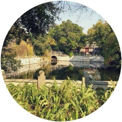 军师驾到手游(暂未上线)v1.0 安卓版